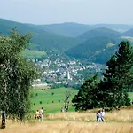 Apartment Haus Bellevue - In Traumhafter Naturlage - Inkl Meinecardplus Willingen (Upland)