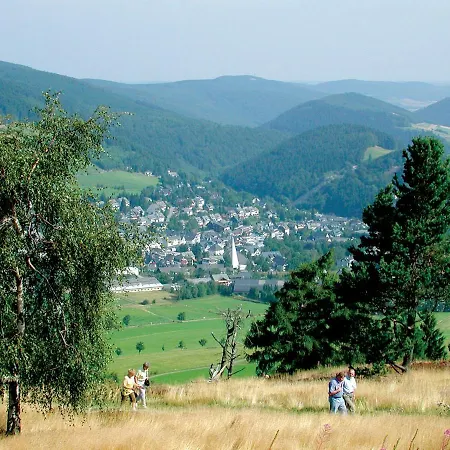 Lägenhet Haus Bellevue - In Traumhafter Naturlage - Inkl Meinecardplus Willingen (Upland)