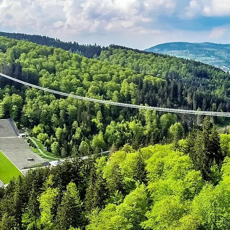 Lägenhet Haus Bellevue - In Traumhafter Naturlage - Inkl Meinecardplus Willingen (Upland)